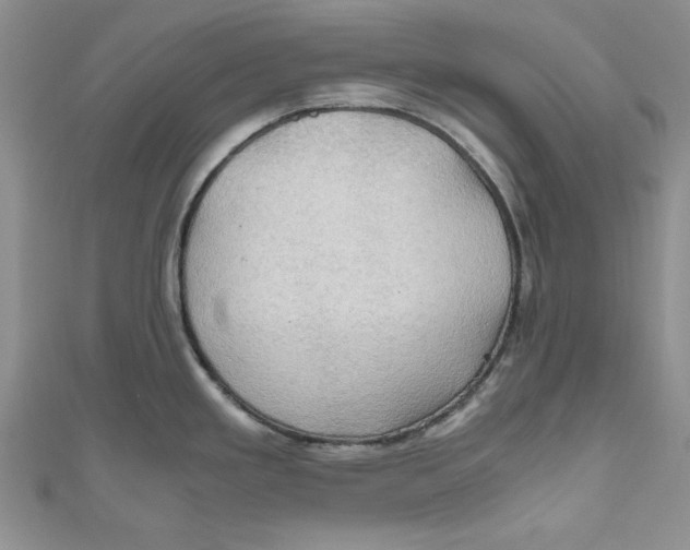 X0000111031293200907161317