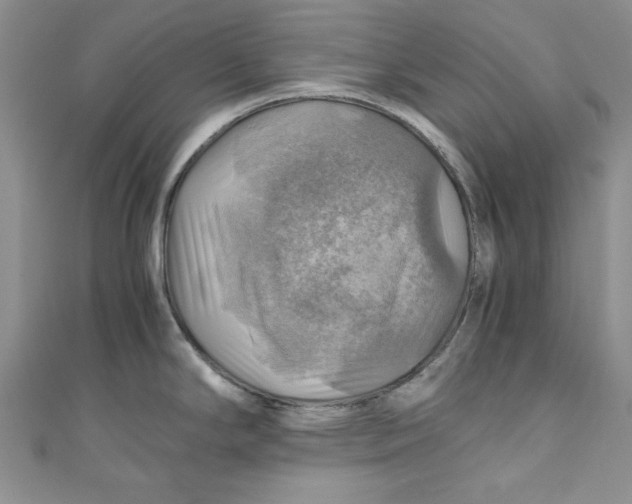 X0000111031294200907161317