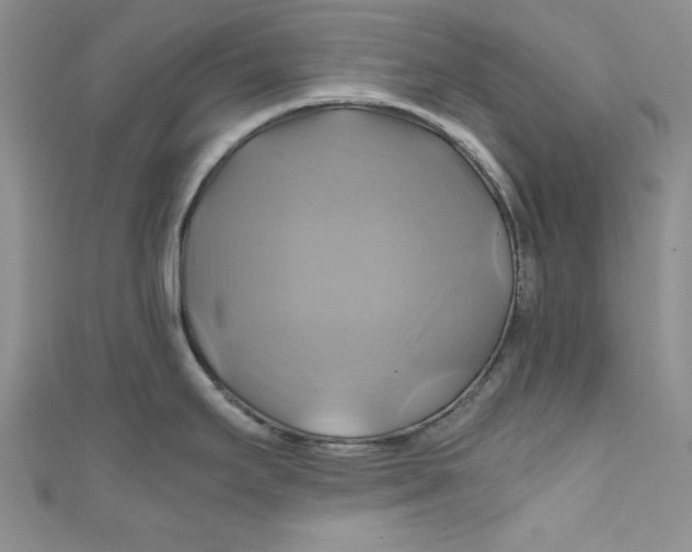 X0000111031295200907161317