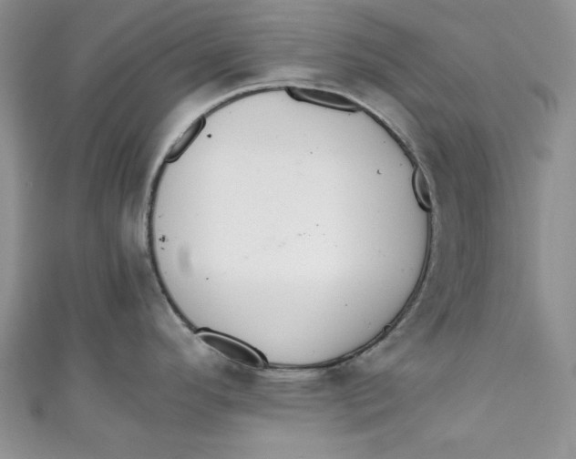 X0000111031296200907161317