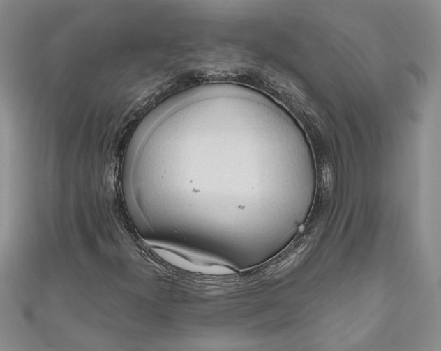 X0000111031300200907161317