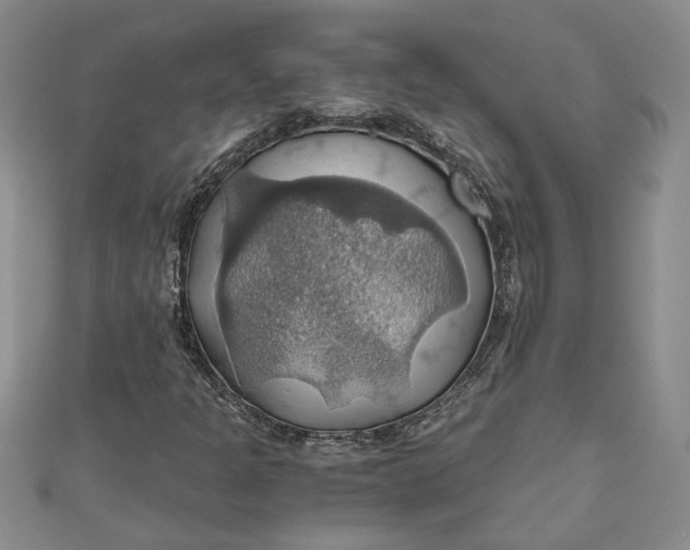 X0000111031301200907161317
