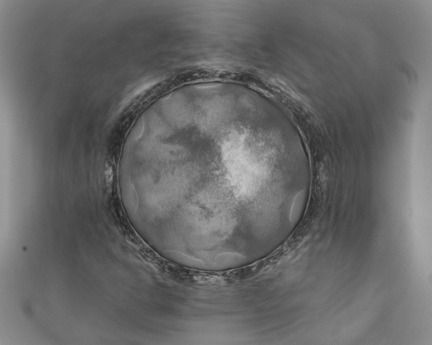 X0000111031302200907161317
