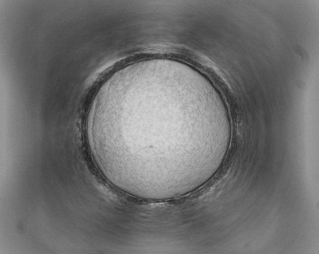 X0000111031304200907161317