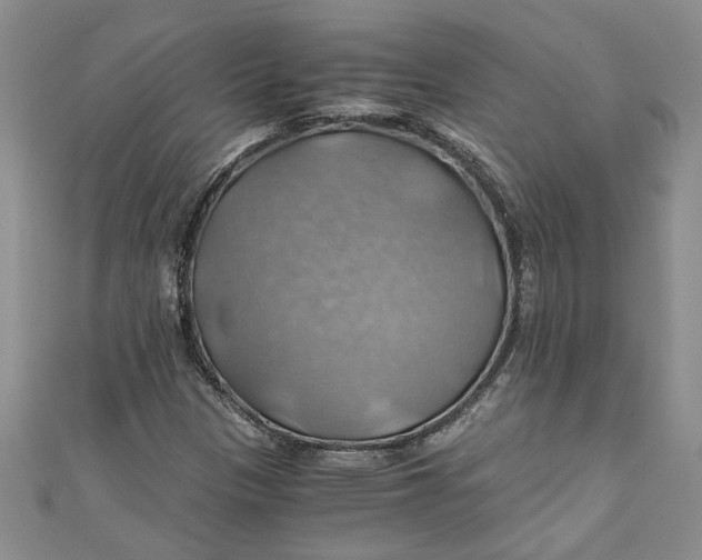 X0000111031305200907161317