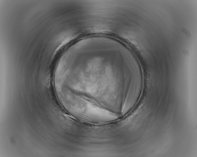X0000111031306200907161317
