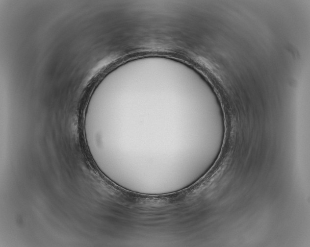 X0000111031307200907161317