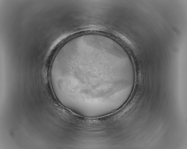 X0000111031310200907161317
