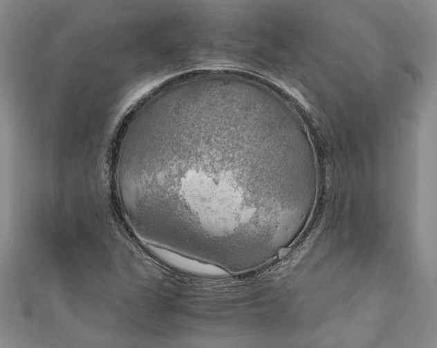 X0000111031311200907161317