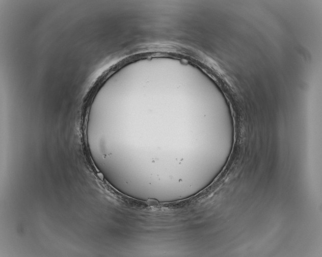 X0000111031312200907161317