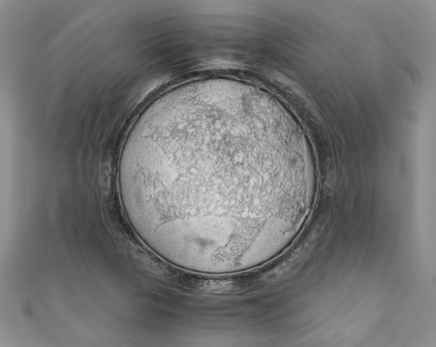 X0000111031313200907161317