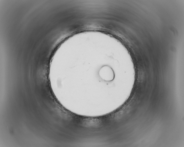 X0000111031314200907161317