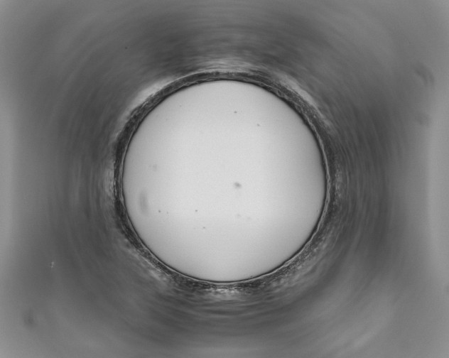 X0000111031315200907161317
