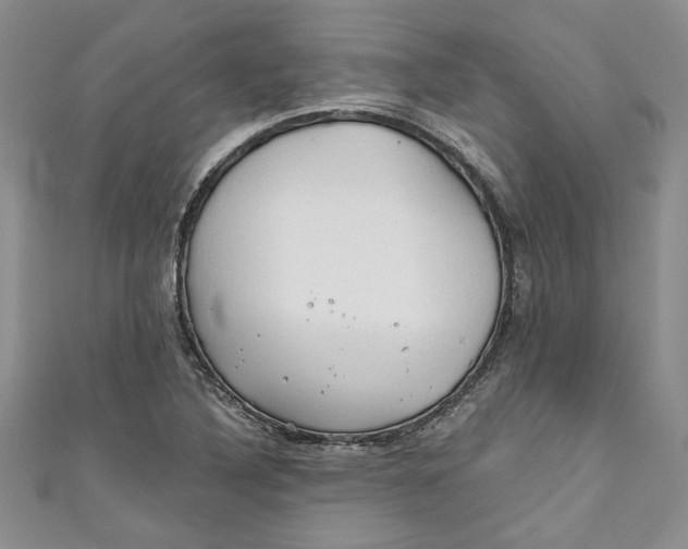 X0000111031316200907161317