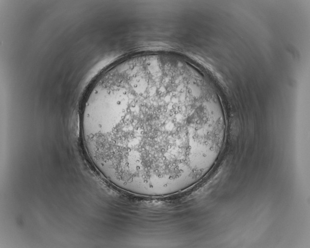 X0000111031317200907161317