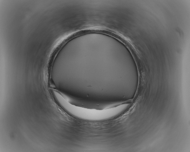 X0000111031319200907161317