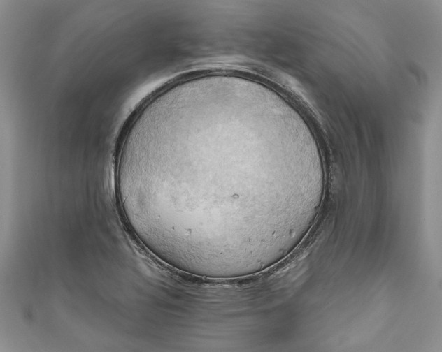 X0000111031320200907161317