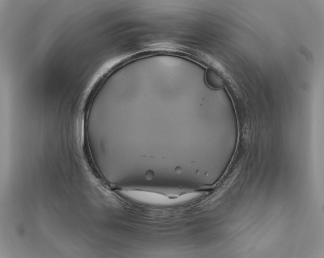 X0000111031323200907161317