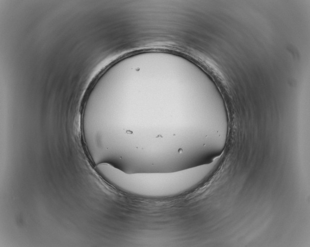 X0000111031324200907161317