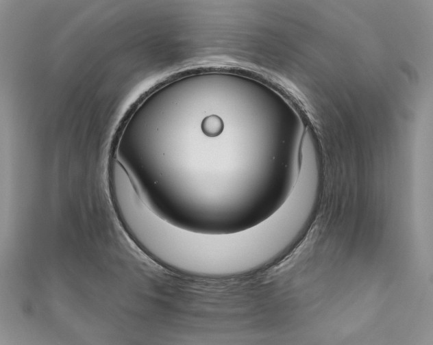 X0000111031326200907161317