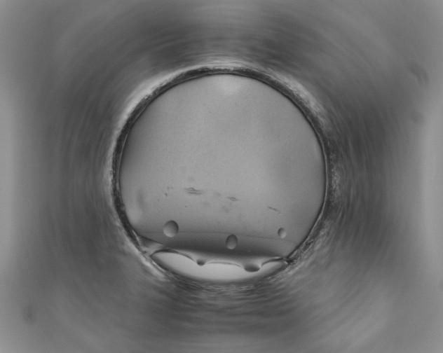 X0000111031327200907161317