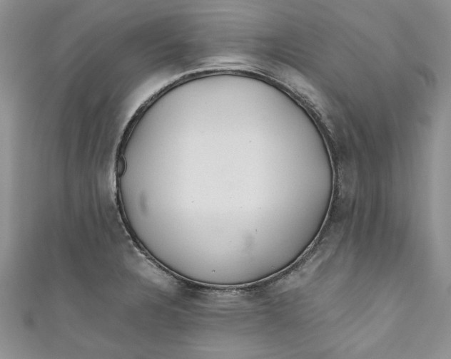 X0000111031328200907161317