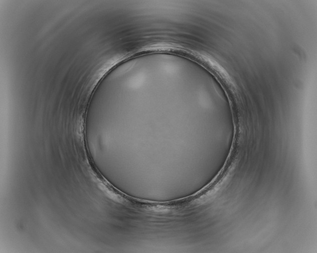X0000111031329200907161317