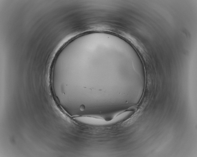 X0000111031331200907161317