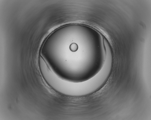 X0000111031332200907161317