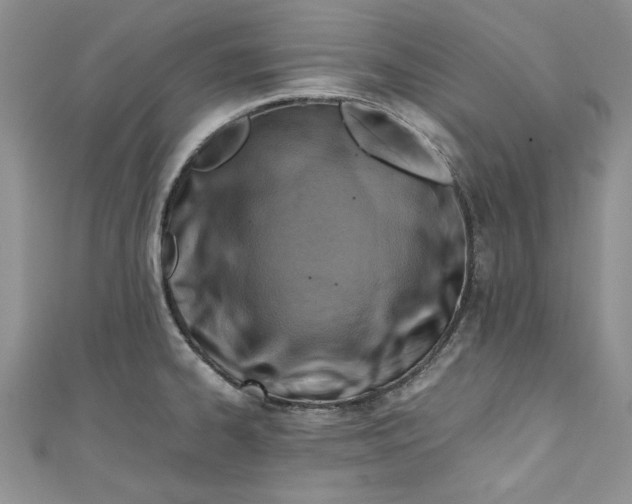 X0000111031334200907161317