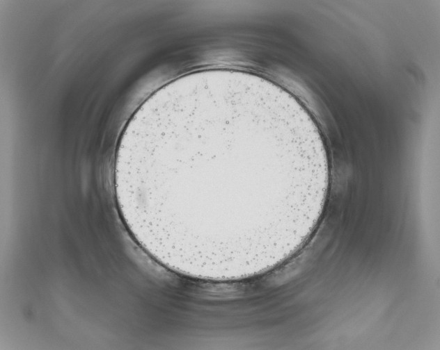X0000111031338200907161317
