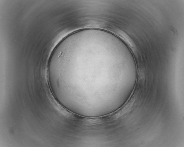 X0000111031340200907161317