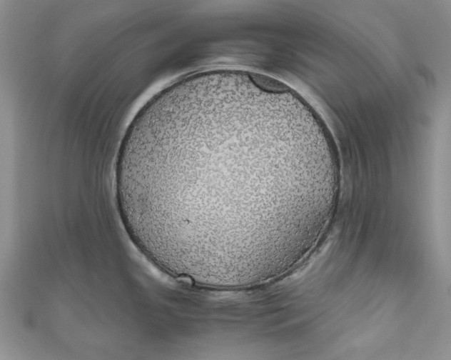 X0000111031341200907161317
