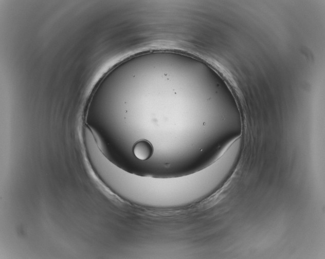 X0000111031342200907161317