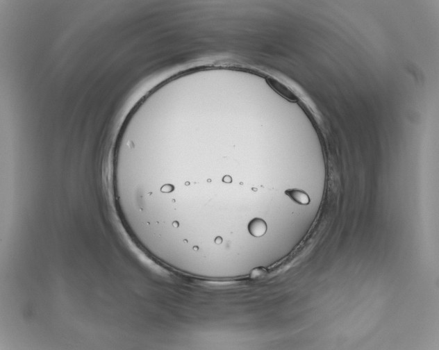 X0000111031343200907161317