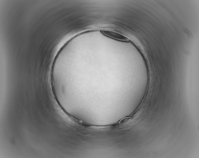 X0000111031344200907161317