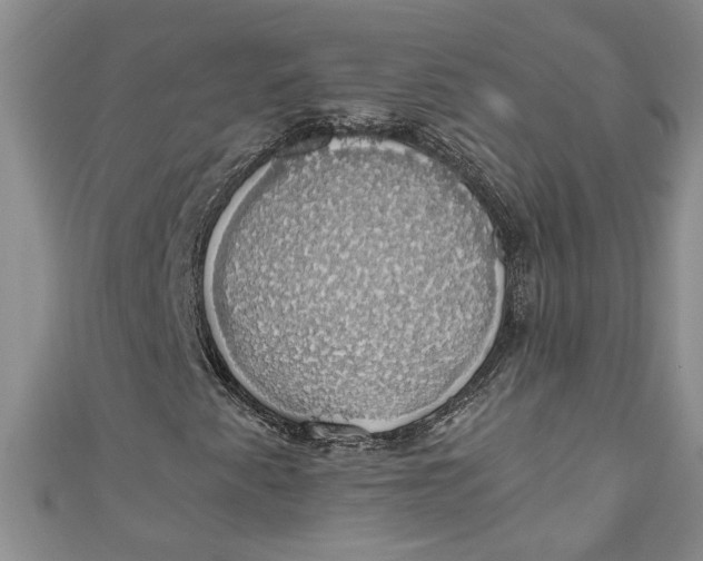 X0000111031345200907161317
