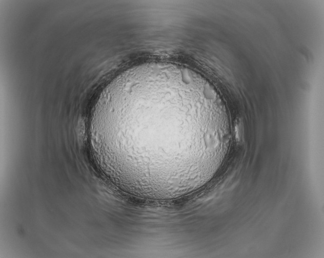 X0000111031347200907161317
