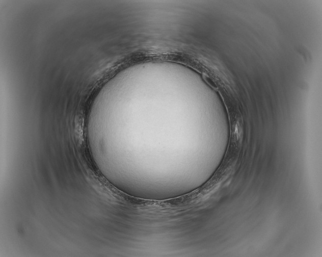 X0000111031348200907161316