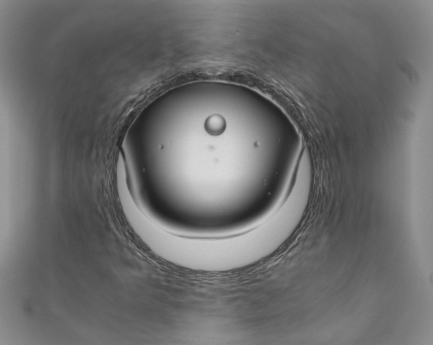 X0000111031349200907161316