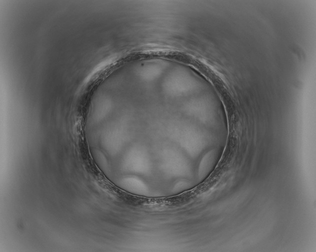 X0000111031351200907161316