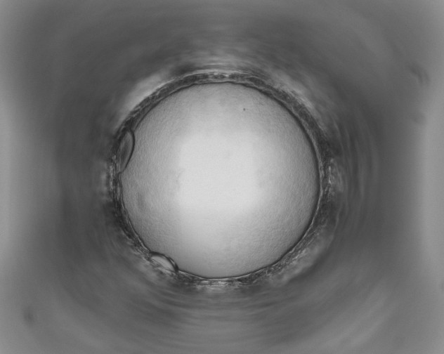 X0000111031352200907161316