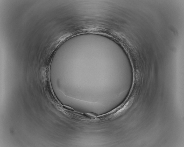 X0000111031353200907161316