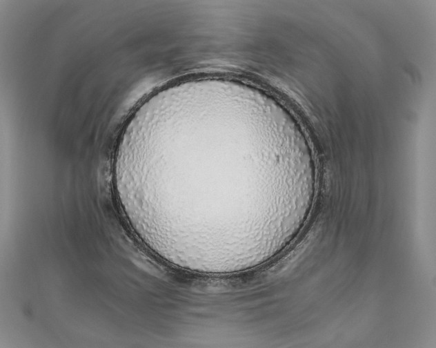 X0000111031355200907161316