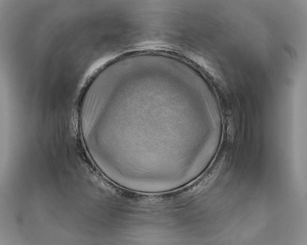 X0000111031358200907161316