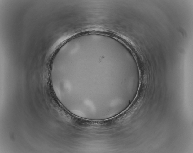 X0000111031359200907161316