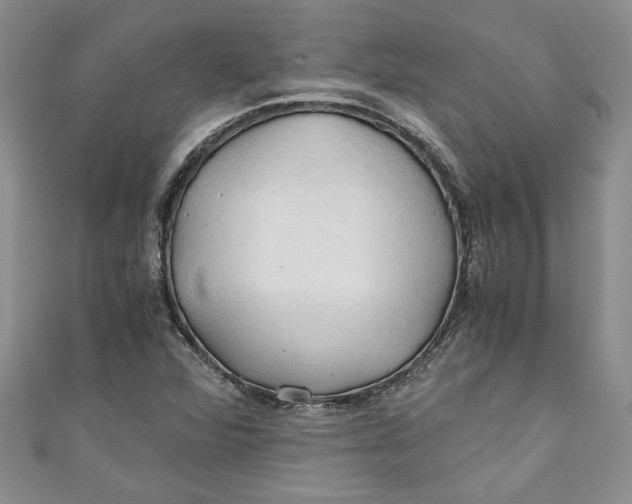 X0000111031360200907161316