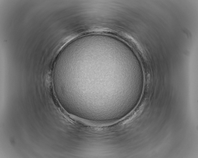 X0000111031361200907161316