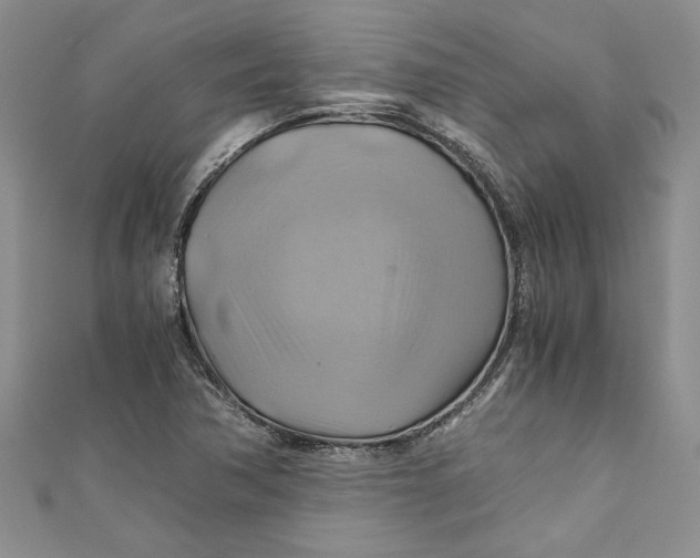 X0000111031362200907161316