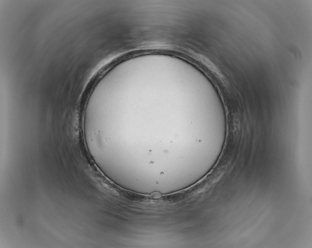 X0000111031364200907161316